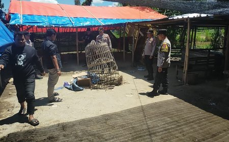 Tindak Tegas! Polres Ponorogo Bubarkan 3 Titik Judi Sabung Ayam dan Dadu