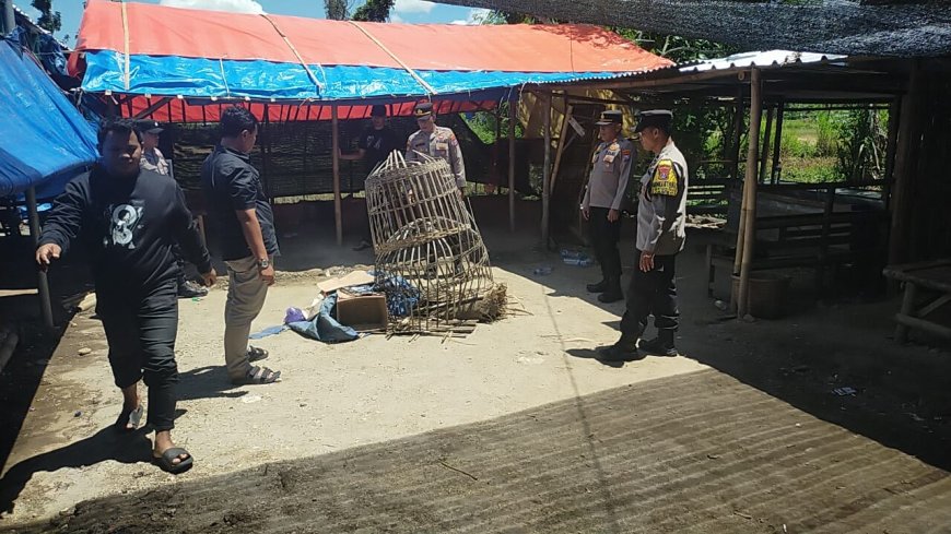 Tindak Tegas! Polres Ponorogo Bubarkan 3 Titik Judi Sabung Ayam dan Dadu
